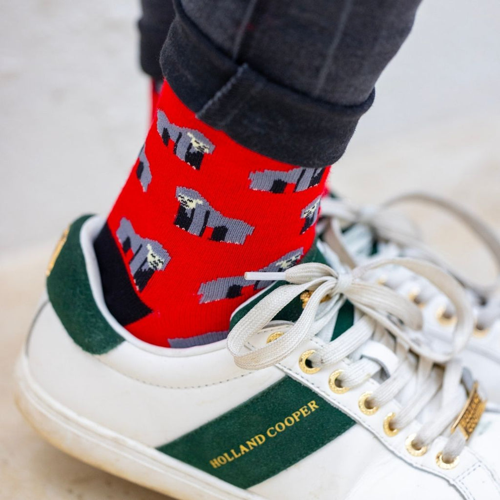 Sustainable Bamboo Socks, Made to Last