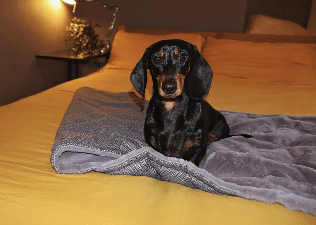 The Balmoral - Luxury Grey Herringbone & Faux Fur Reversible Dog Blanket