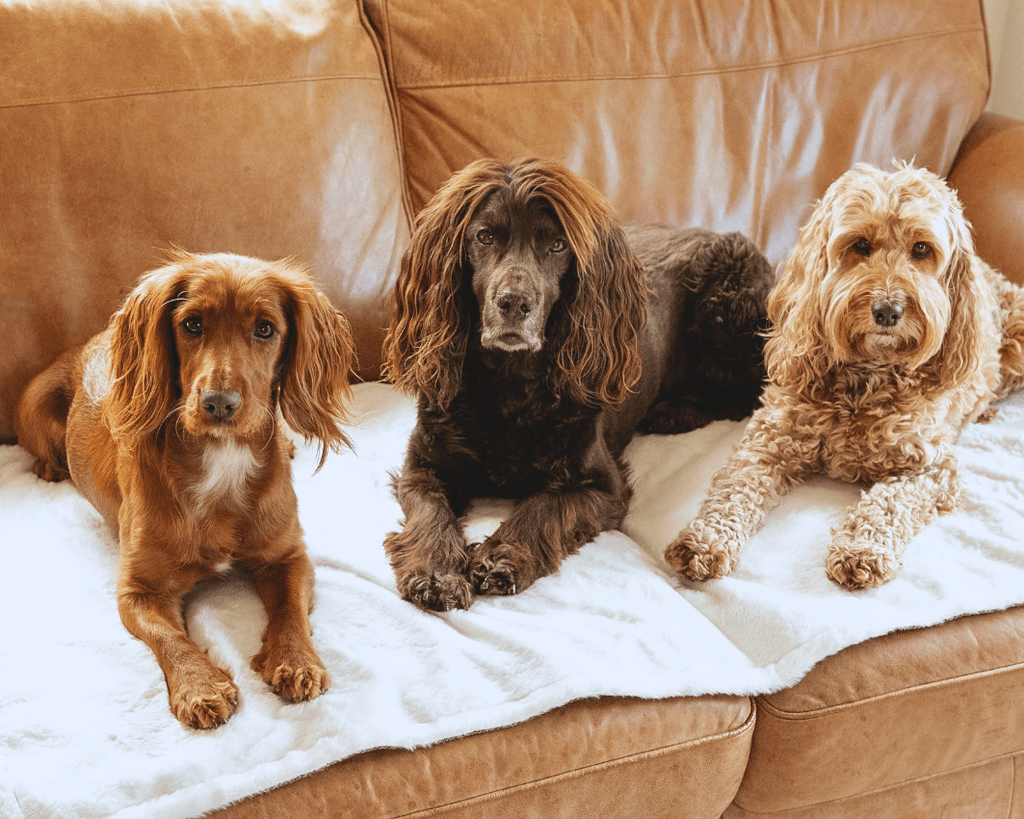 The Lincoln - Luxury Tweed & Faux Fur Reversible Dog Blanket