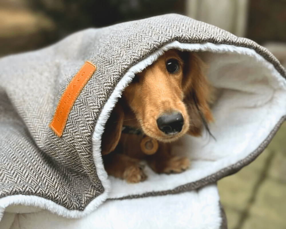 The Lincoln - Luxury Tweed & Faux Fur Reversible Dog Blanket