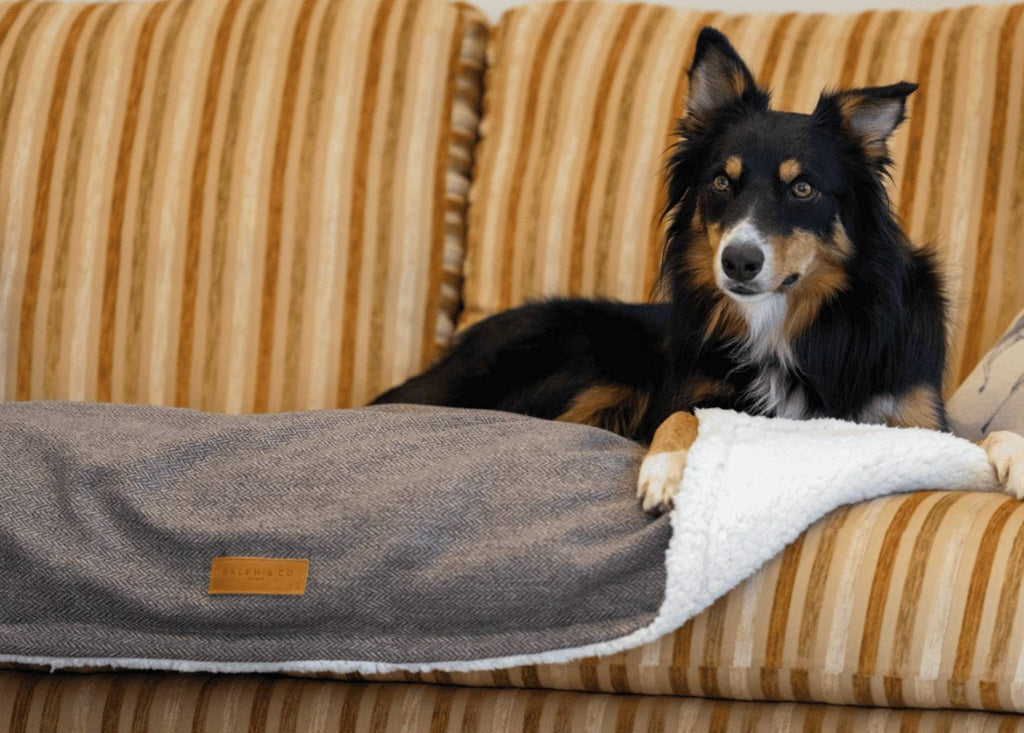 The Lincoln - Luxury Tweed & Faux Fur Reversible Dog Blanket