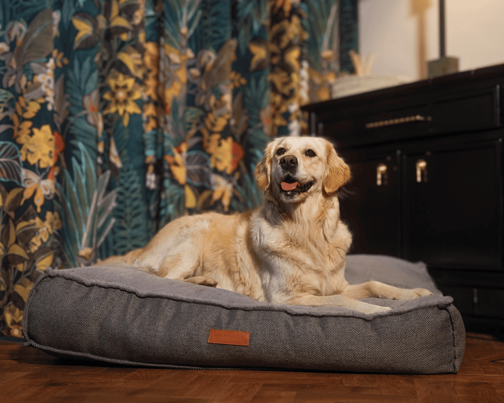 The Balmoral - Luxury Herringbone Flat Pillow Dog Bed