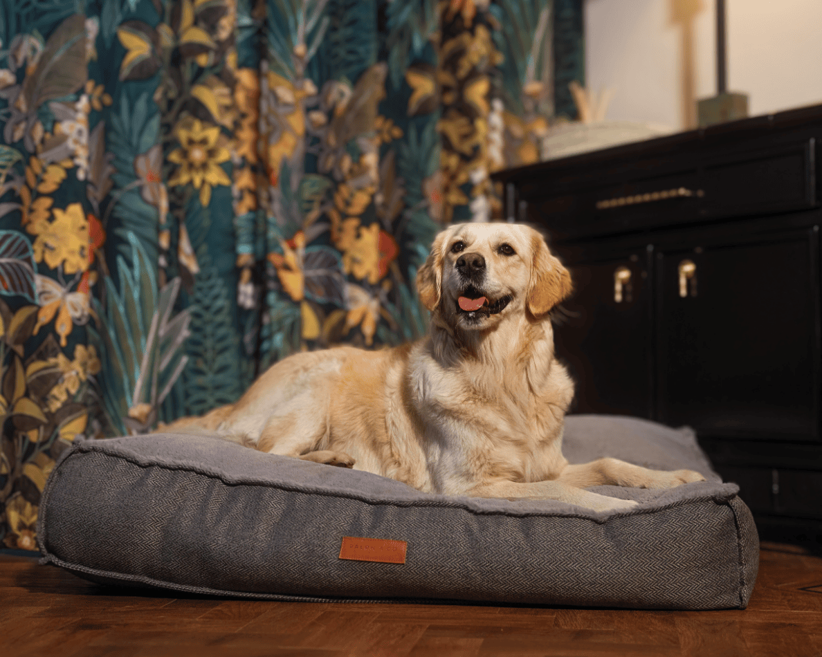 The Balmoral - Luxury Herringbone Flat Pillow Dog Bed