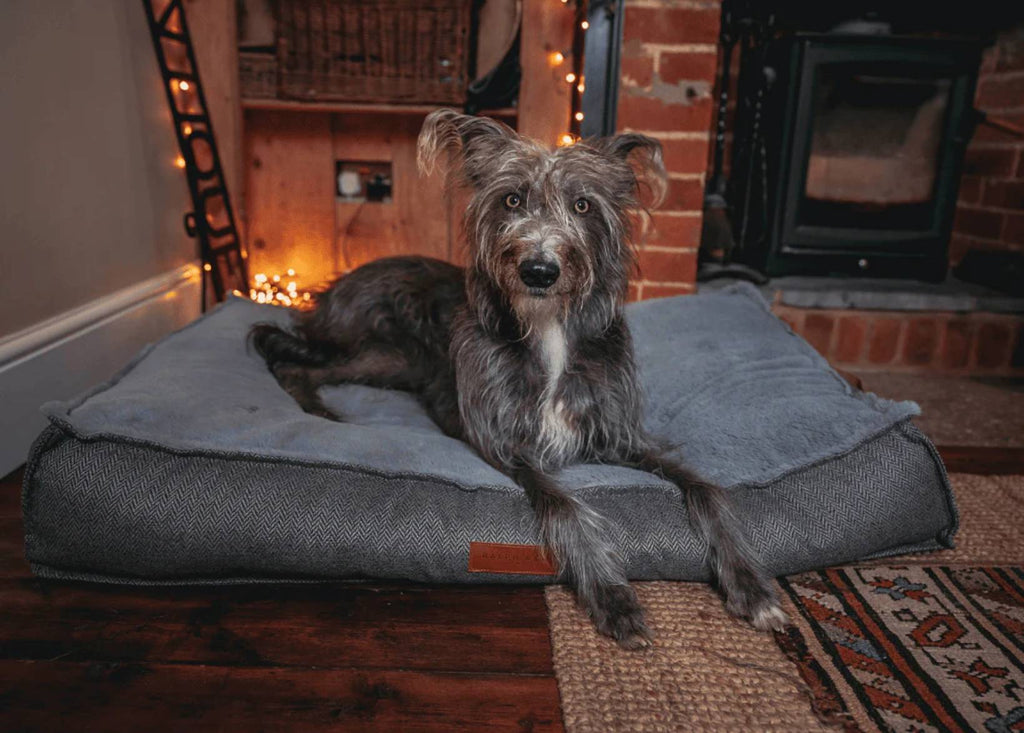 The Balmoral - Luxury Herringbone Flat Pillow Dog Bed