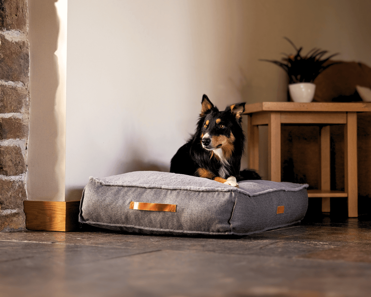 The Balmoral - Luxury Herringbone Flat Pillow Dog Bed