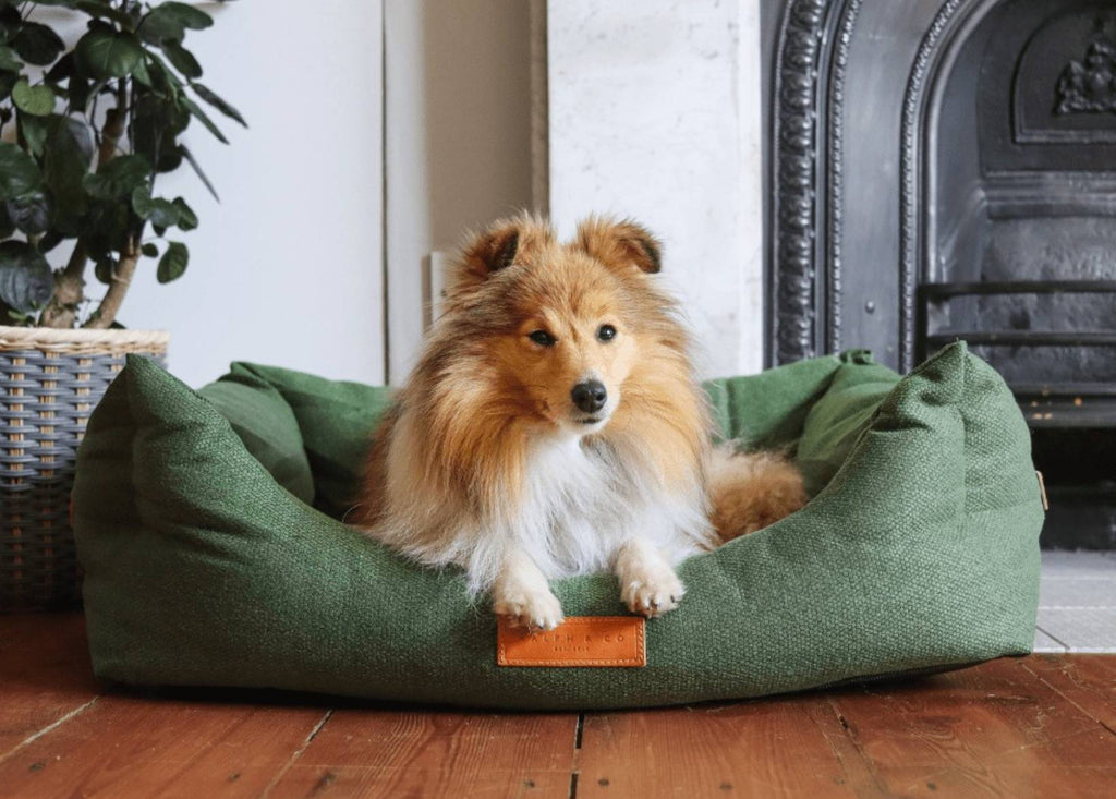 The Richmond - Luxury Green Bolster Dog Bed