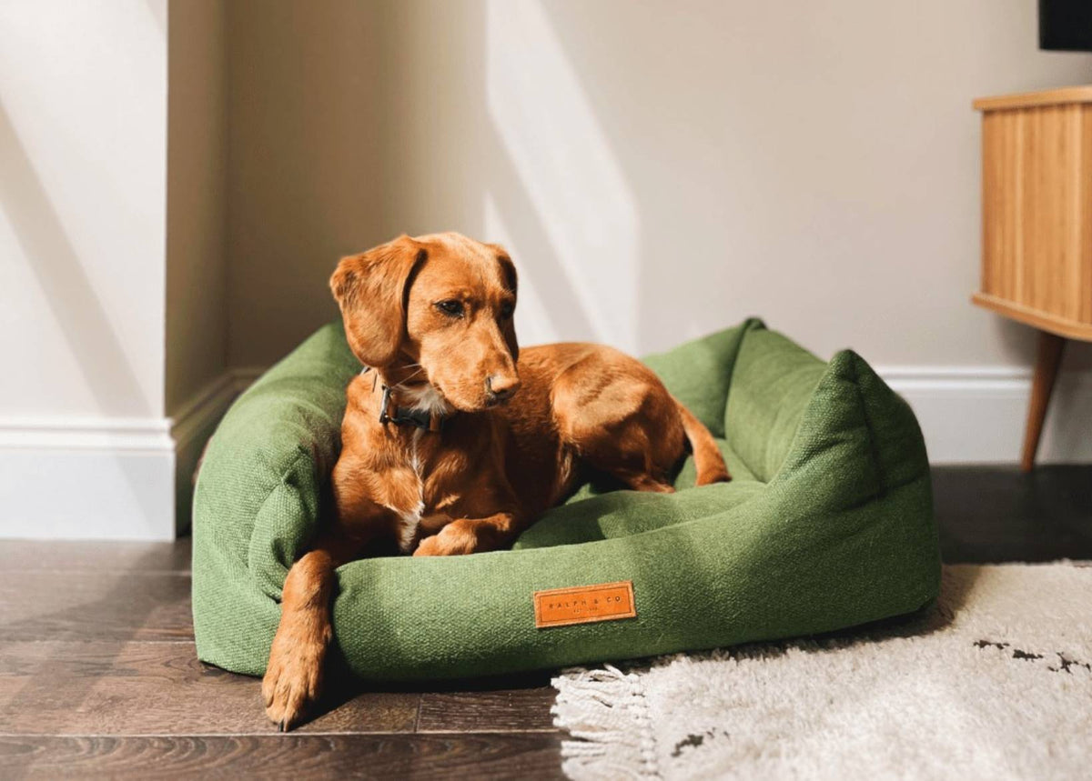 The Richmond - Luxury Green Bolster Dog Bed