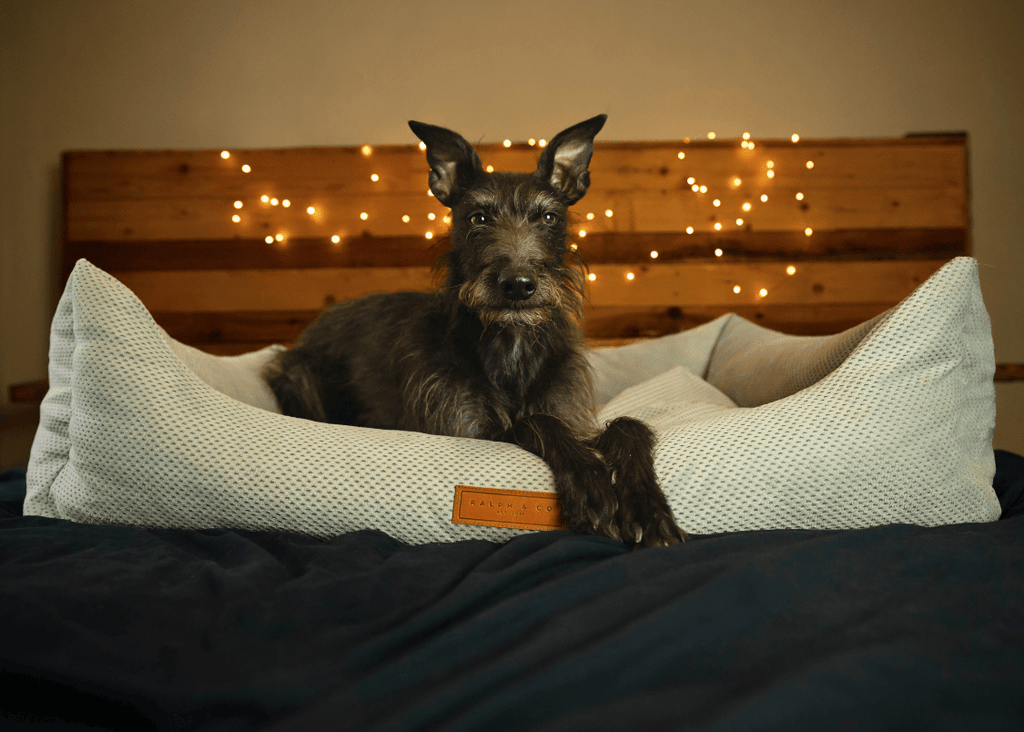 The Highclere - Luxury Memory Foam Bolster Dog Bed