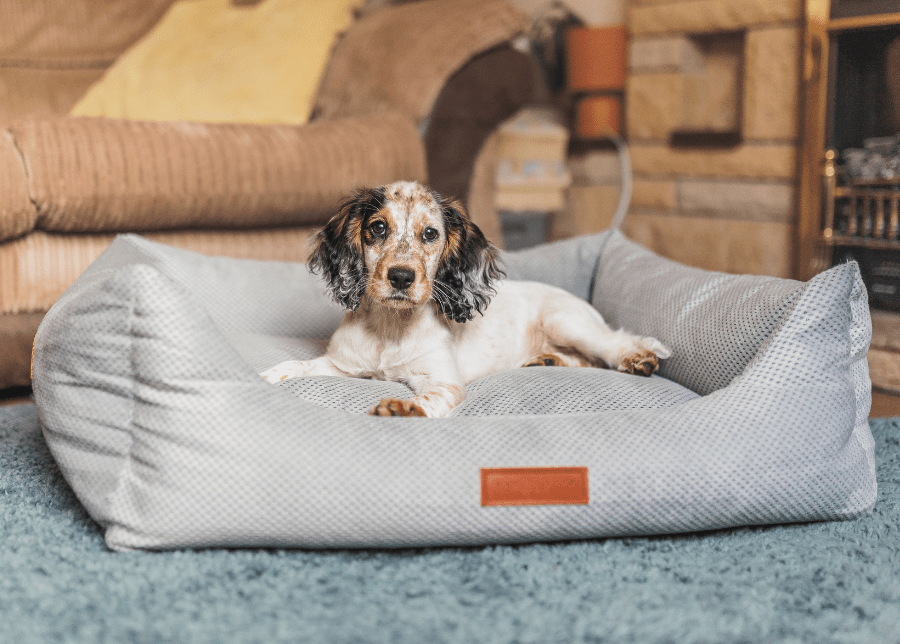 The Highclere - Luxury Memory Foam Bolster Dog Bed