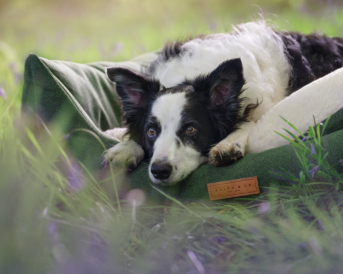 The Richmond - Luxury Green Bolster Dog Bed