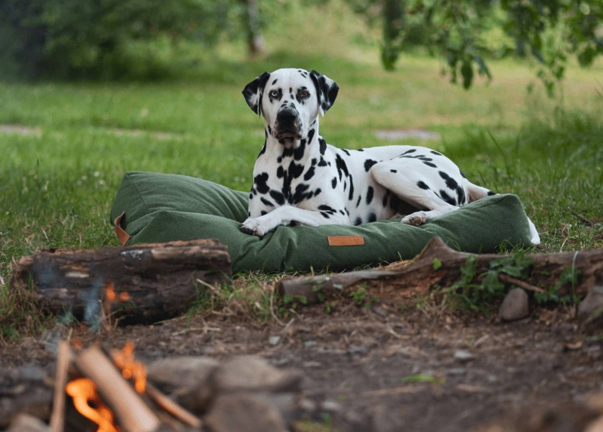 The Richmond - Luxury Green Flat Pillow Dog Bed